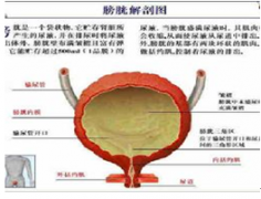 膀胱炎有哪些症状