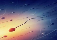 精子活力低下是怎么回事呢