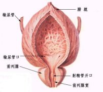 前列腺充血的症状是什么